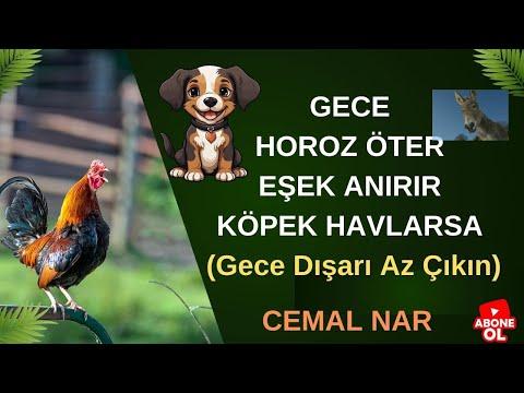 Embedded thumbnail for GECE HOROZ ÖTER EŞEK ANIRIR KÖPEK HAVLARSA  (Gece Dışarı Az Çıkın)