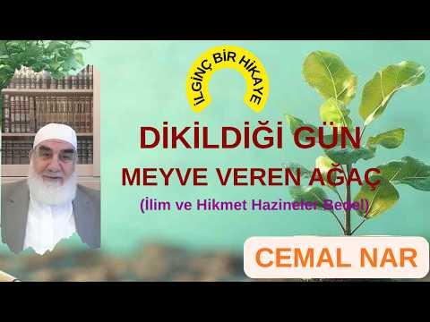 Embedded thumbnail for DİKİLDİĞİ GÜN MEYVE VEREN AĞAÇ (İlim ve Hikmet Hazineler Bedel)