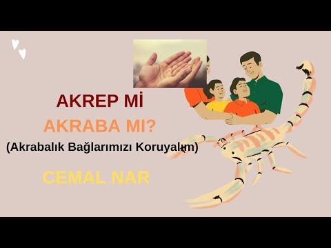Embedded thumbnail for AKREP Mİ AKRABA MI? (Akrabalık Bağlarımızı Koruyalım)