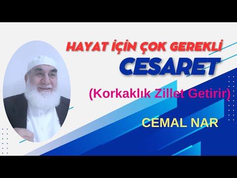 Embedded thumbnail for CESARET GÜZEL BİR HUYDUR (Cesaret ve Korkaklık Önemli Huylardır)