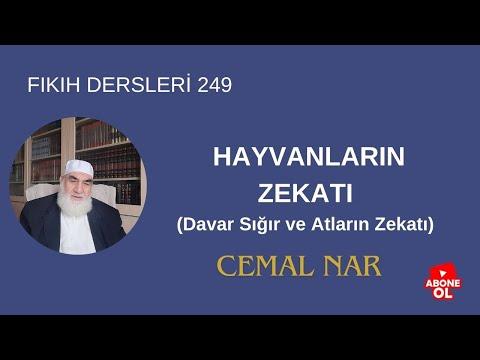 Embedded thumbnail for FIKIH DERSLERİ  249 HAYVANLARIN ZEKATINA DAİR MESELELER (Davar Sığır ve Atların Zekatı)