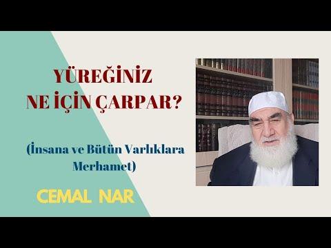 Embedded thumbnail for YÜREĞİNİZ NE İÇİN ÇARPAR? (İnsana ve Bütün Varlıklara Merhamet)