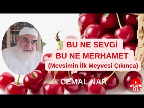 Embedded thumbnail for BU NE SEVGİ BU NE MERHAMET (Mevsimin İlk Meyvesi Çıkınca)