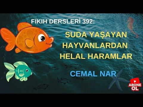 Embedded thumbnail for FIKIH DERSLERİ 392: SUDA YAŞAYAN HAYVANLARDAN HELAL HARAMLAR