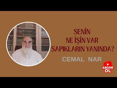 Embedded thumbnail for SENİN NE İŞİN VAR SAPIKLARIN YANINDA