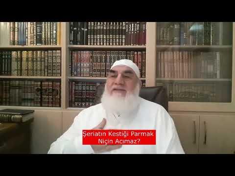 Embedded thumbnail for Şeriatın Kestiği Parmak Niçin Acımaz? #Shorts